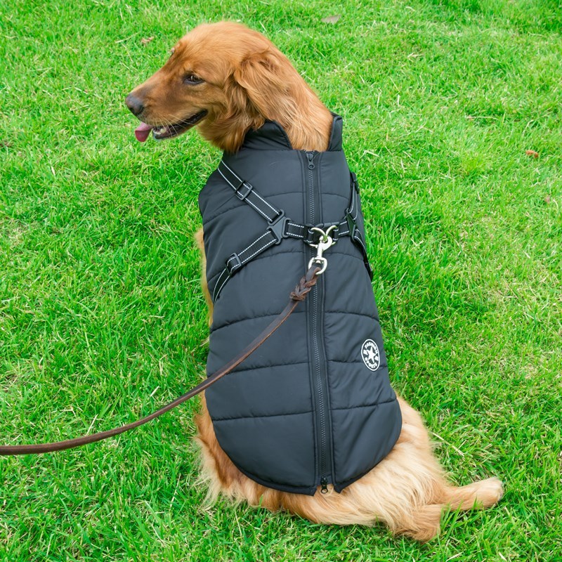Dog Clothes Chest Back Integrated Cotton Vest Pet Cotton Clothes Winter Clothes - Image 10