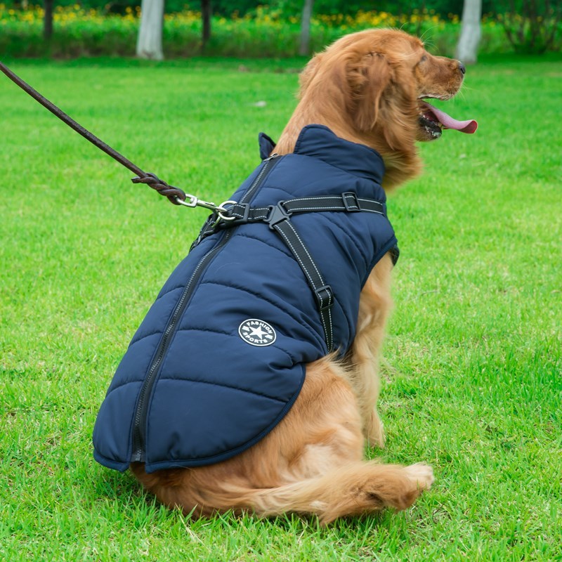 Dog Clothes Chest Back Integrated Cotton Vest Pet Cotton Clothes Winter Clothes - Image 4