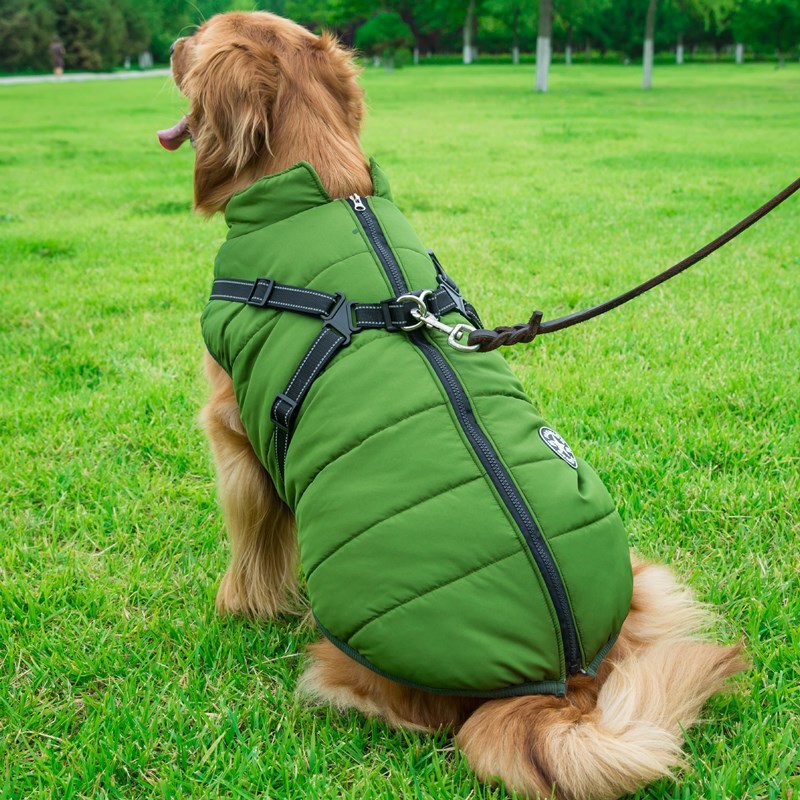 Dog Clothes Chest Back Integrated Cotton Vest Pet Cotton Clothes Winter Clothes - Image 9